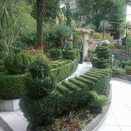 Apartment City Garden Kotor Rom bilde