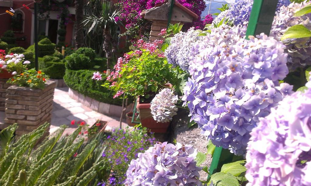 Apartment City Garden Kotor Rom bilde