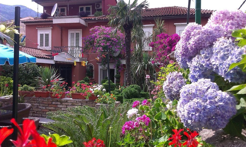 Apartment City Garden Kotor Rom bilde
